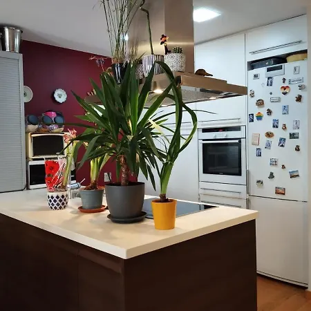 Logement Quartier Romantique Daire *